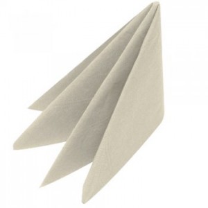 33cm 2 ply Napkin available in 12 colours