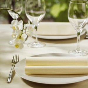 Dunisoft® Napkin available in White & Champagne