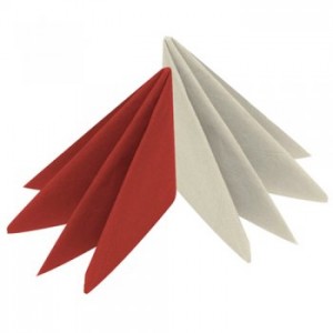 40cm 2 ply Napkin available in 12 colours